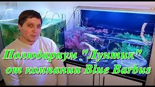 Полюдариум Лунтик от компании Blue Barbus