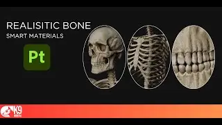 K9 Digital - PBR Bone & Teeth Texture Pack for Substance Painter | Seamless Smart Materials