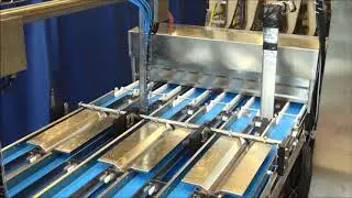 Gocator Shrimp Grader