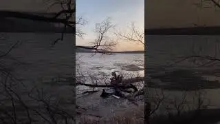 Ледоход Иртыш зеленый остров