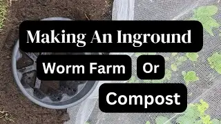 This is what you can do with kitchen scraps in the garden