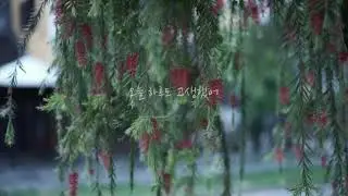 편안한 밤을 위한 감성 음악 / 마음의 안정 / 피아노 음악 / 작곡가 정훈