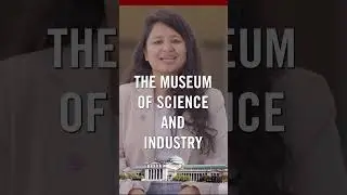 Chicago Booth This or That: Art Institute vs Museum of Science and Industry #mba #shorts