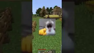 que partida mas rara #minecraft #shorts