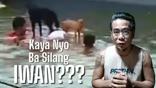 PINOY DOG WHISPERER REACTS: Mga Hayop Na Naiwan Sa Baha