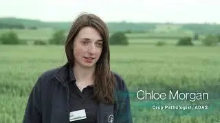 Working for ADAS - Chloe Morgan, Crop Research Scientist