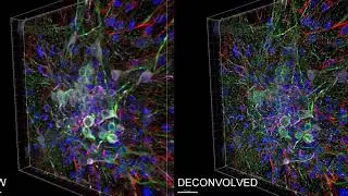 Diskovery diptych