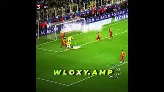 💀Nelsson🤩#galatasary ❤️💛 #fenerbahçe 💛💙 Nelsson’u gören 10 gslinin 9 u takip ediyomuş .d(!)