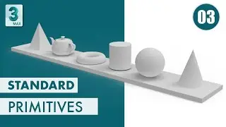 All about Standard Primitives in 3Ds Max