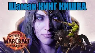 На чиле в препатче Вазелин Вара. World of Warcraft: The War Within