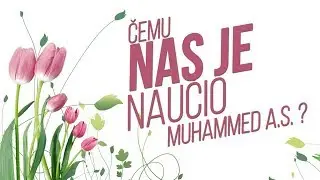 Hvala ti Uzoru najbolji!