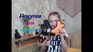 Подробный РАЗБОР ПОКУПОК ИЗ Fix-prace /Вещи для приюта/Акция помощи/Той-терьер Тайсон.
