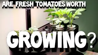 INDOOR GROW DECISIONS - COST, VARIETY, CHOICES