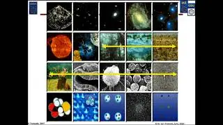 Beyond Biomimicry to Systems Mimicry