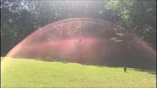 Aerokinesis training(aura viewing)  4-27-19