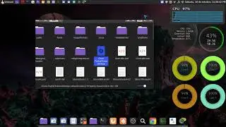 Instalar packet tracer 7.3.1 en Linuxmint 20 ulyana