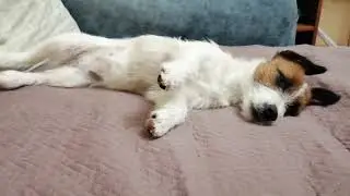Очень крепкий сон