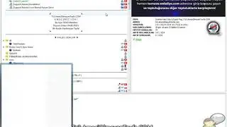 Teamspeak 3 Stops Responding, End Process Error Solution, and Accelerate