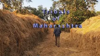Tribal life | Maharashtra