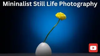 Minimalist Still Life Photography