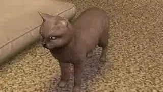 The Sims 2 Pets - 3