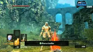 Dark Souls Walkthrough - The Basics of Souls, Bonfires, Humanity, and Dying | WikiGameGuides
