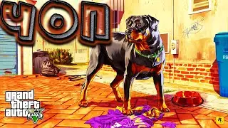 Grand Theft Auto V. ЧОП. Mayer.