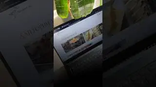 Для заказа сайта можно написать в телеграм 