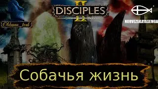 Disciples 2. Мод MNS. Карта 