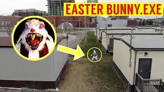 DRONE CATCHES EASTER BUNNY.EXE HIDING IN MY NEIGHBOURHOOD