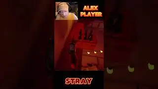 Котик разбудил робота в Stray