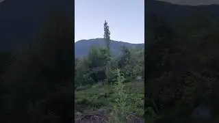 Субҳи бо  Сафо  ❤️