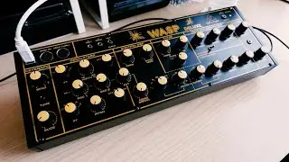 Behringer Wasp Sound Demo 110bpm