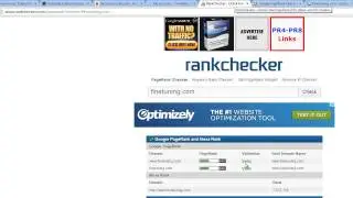 How To Build A Blog Network