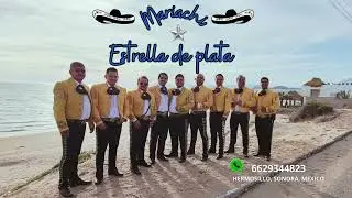 MEP SON DE LA NEGRA