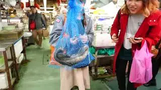 Japanese Street Food   VENOMOUS SEA SNAKE Okinawa Seafood Japan