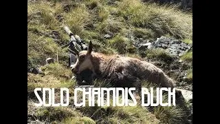 Solo Chamois Buck | Hunting New Zealand