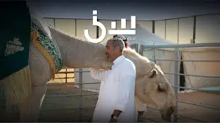 برنامج سين٢ | شريك العرب - الحلقة ١١ كاملة