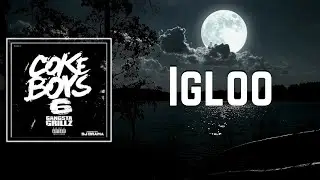 Igloo Lyrics - French Montana