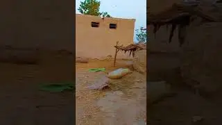 Old house 🏡 in village|| Soo beautiful house || good life in village|| nice people in village