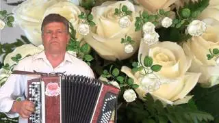 Белые розы.