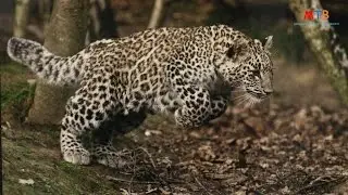 Необычно и поэтично