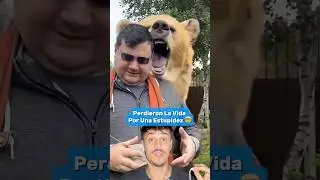 Perdieron La Vida Por Un Motivo Absurdo 