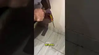 He found a scorpion under the tiles at home 😮
