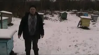 WHY WATCH BEES IN WINTER.