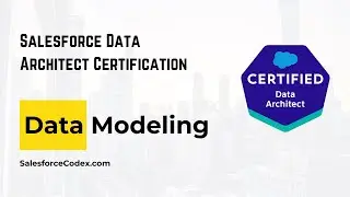 Salesforce Data Modeling Explained | First Step for Data Architect Certification | SalesforceCodex