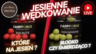 Jesienne Wędkowanie z Trotką - Jakie smaki? Jakie zapachy? Jakie nowości?