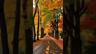 Autumn