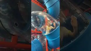 Cosmonaut