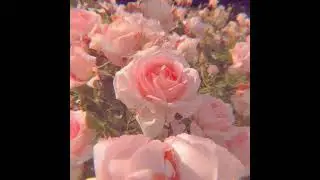 (FREE) Mata X Old School Boom Bap Type Beat 2023